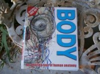 Image of Body: An Amazing Tour of Human Anatomy