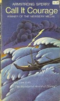 Image of Call It Courage