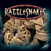 Rattlesnakes: Amazing Snakes
