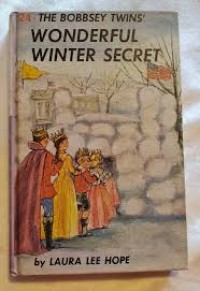 Image of The Bobbsey Twins' Wonderful Winter Secret #24