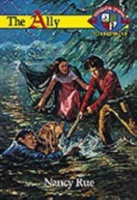 Image of The Ally Book #14